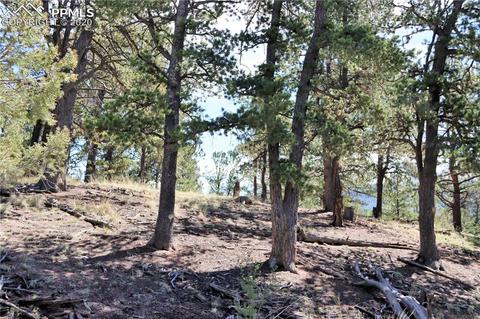 133 Haven Rd, Divide, CO 80814 photo 9