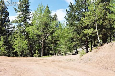 133 Haven Rd, Divide, CO 80814 photo 28