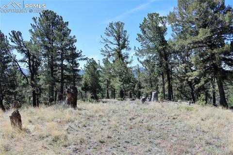133 Haven Rd, Divide, CO 80814 photo 5