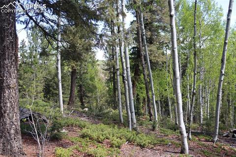 133 Haven Rd, Divide, CO 80814 photo 18