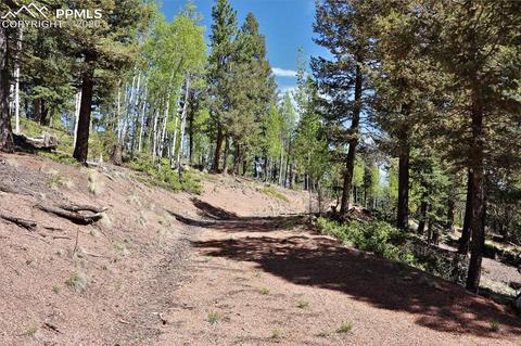 133 Haven Rd, Divide, CO 80814 photo 12