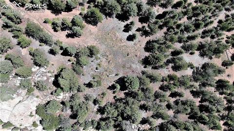 133 Haven Rd, Divide, CO 80814 photo 30