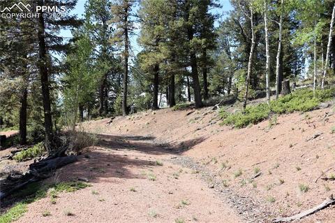 133 Haven Rd, Divide, CO 80814 photo 22