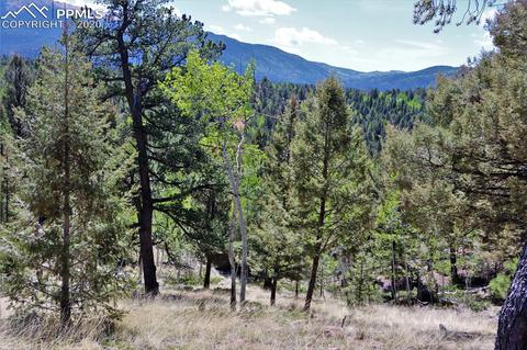 133 Haven Rd, Divide, CO 80814 photo 1