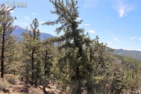 133 Haven Rd, Divide, CO 80814 photo 15