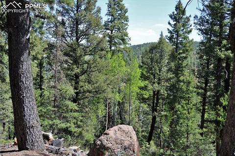 133 Haven Rd, Divide, CO 80814 photo 17