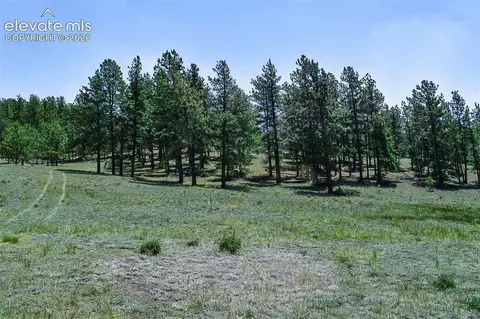 6 Th St, Guffey, CO 80820