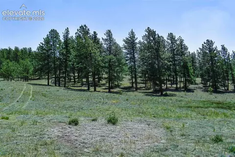 6 Th St, Guffey, CO 80820