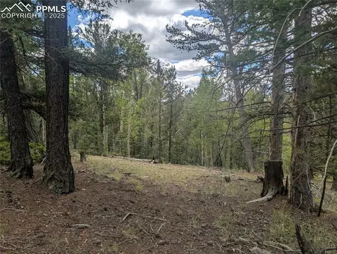 2455 Yorktown Rd, Cripple Creek, CO 80813