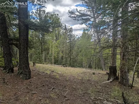 2455 Yorktown Rd, Cripple Creek, CO 80813