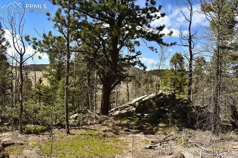 289 Timberline Dr, Guffey, CO 80820