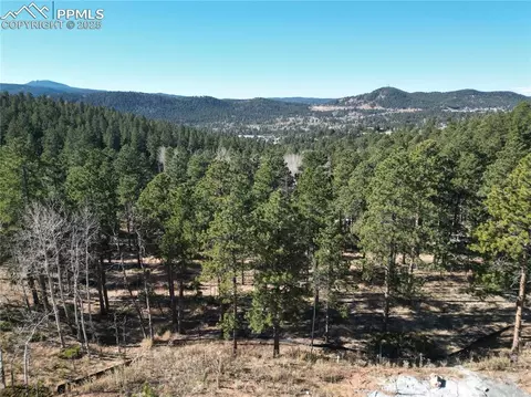 1410 Red Haven Pl, Woodland Park, CO 80863