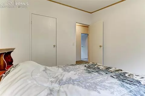 107 Thunderbird Rd, Cotopaxi, CO 81223 photo 5