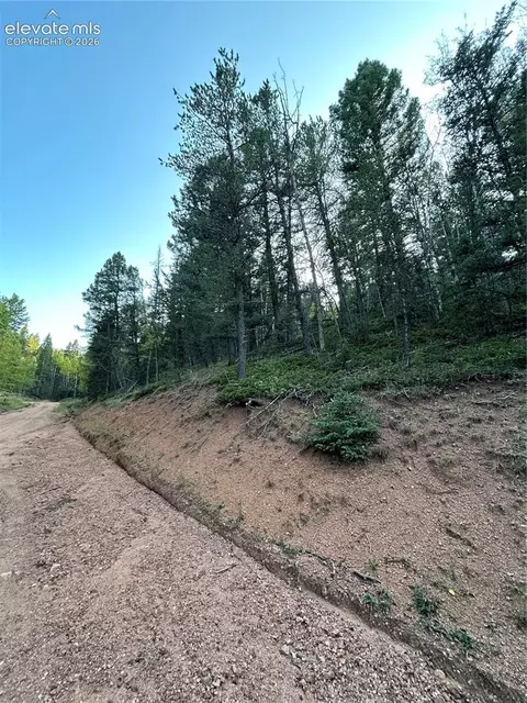 83 Sodalite Rd, Divide, CO 80814 photo 2