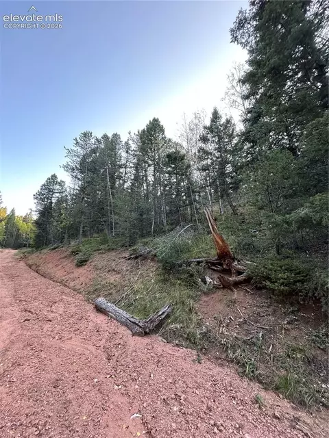 83 Sodalite Rd, Divide, CO 80814 photo 3