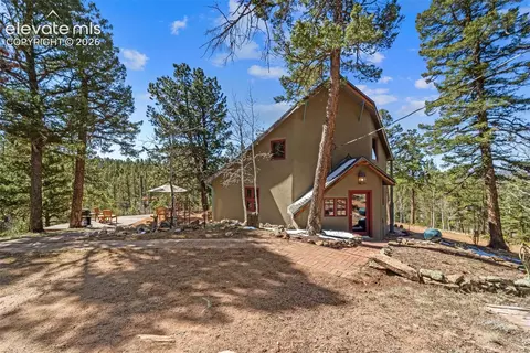Exterior - 174 Needle Creek Rd, Divide, CO 80814 photo 4 of 5