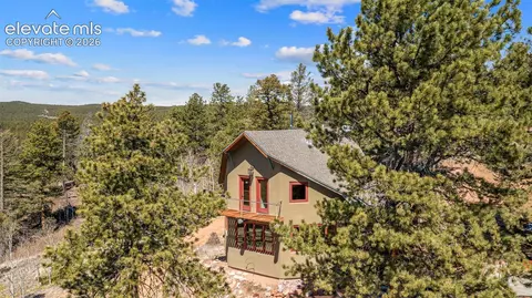 Other - 174 Needle Creek Rd, Divide, CO 80814 photo 3 of 15