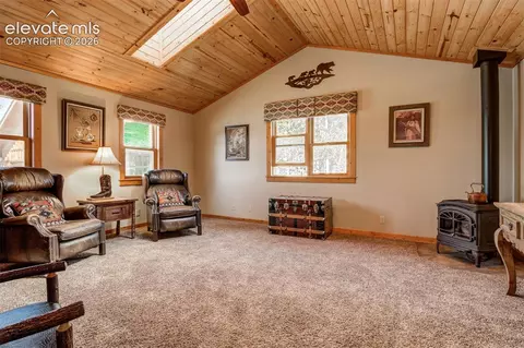 Other - 1471 County Road 51, Divide, CO 80814 photo 14 of 16