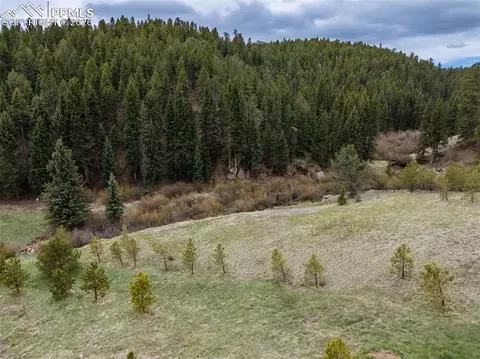 521 University Dr, Woodland Park, CO 80863