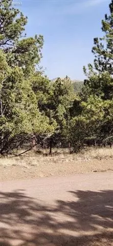104 Keepsake Loop, Westcliffe, CO 81252 photo 5