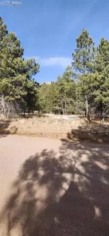 104 Keepsake Loop, Westcliffe, CO 81252 photo 3