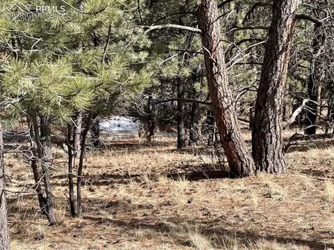104 Keepsake Loop, Westcliffe, CO 81252 photo 7