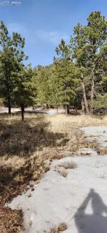 104 Keepsake Loop, Westcliffe, CO 81252 photo 2