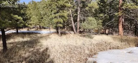 104 Keepsake Loop, Westcliffe, CO 81252 photo 4