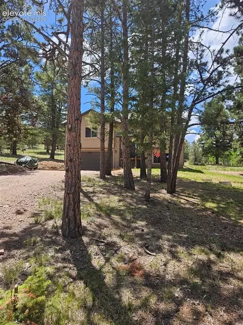 24 Big Horn Cir, Florissant, CO 80816
