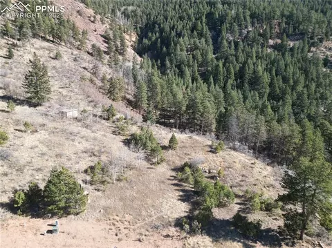 1365 Blue Haven Pl, Woodland Park, CO 80863