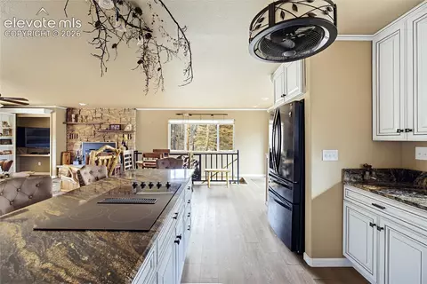 Kitchen - 110 St Charles Dr, Rye, CO 81069 photo 3 of 4