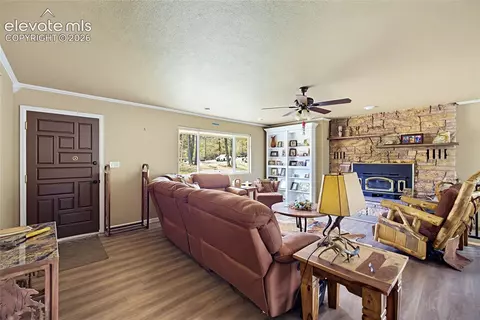 Living - 110 St Charles Dr, Rye, CO 81069 photo 3 of 8