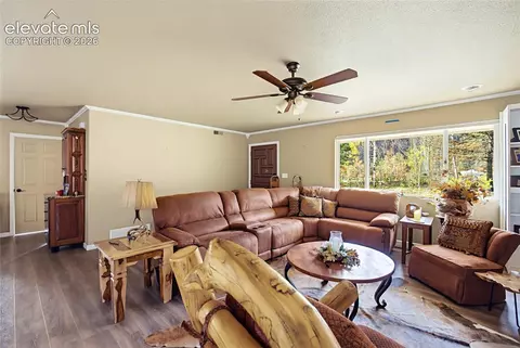 Living - 110 St Charles Dr, Rye, CO 81069 photo 4 of 8