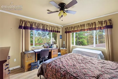 Bedroom - 110 St Charles Dr, Rye, CO 81069 photo 5 of 11