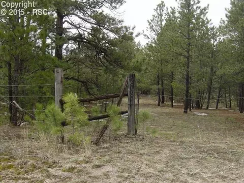 12025 Dawson Rd, Elbert, CO 80106 photo 2