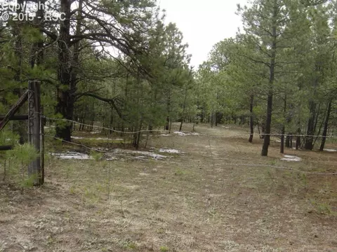 12025 Dawson Rd, Elbert, CO 80106 photo 1