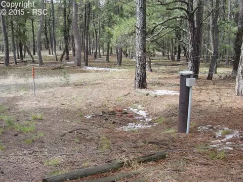 12025 Dawson Rd, Elbert, CO 80106 photo 8