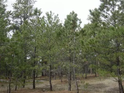 12025 Dawson Rd, Elbert, CO 80106 photo 4