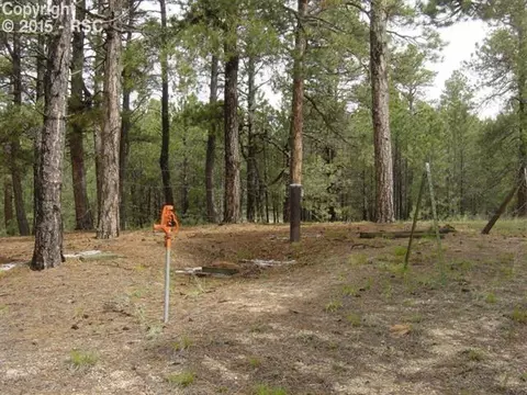 12025 Dawson Rd, Elbert, CO 80106 photo 6