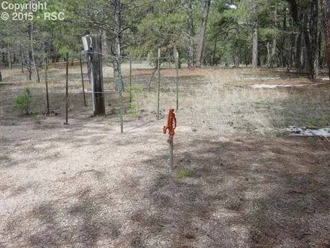 12025 Dawson Rd, Elbert, CO 80106 photo 7
