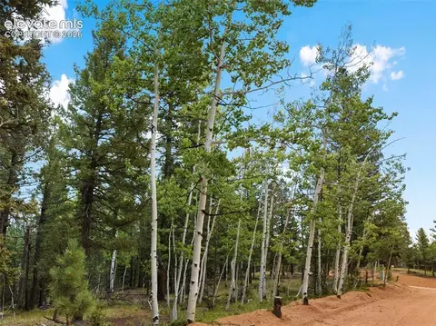 810 Ridge Rd, Divide, CO 80814 photo 17