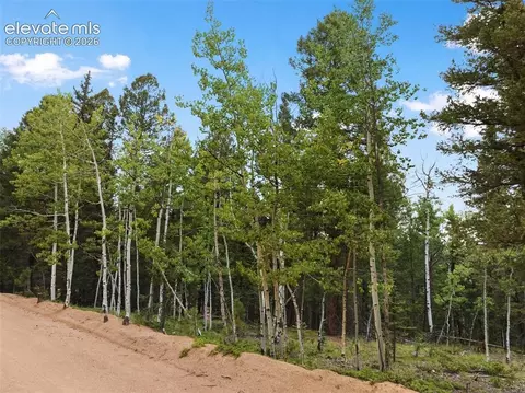 810 Ridge Rd, Divide, CO 80814 photo 10