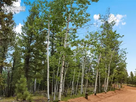 810 Ridge Rd, Divide, CO 80814 photo 17