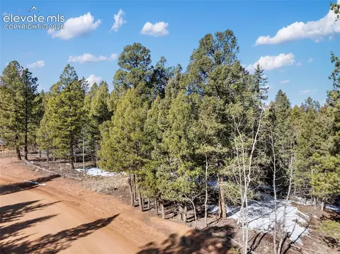 810 Ridge Rd, Divide, CO 80814 photo 14