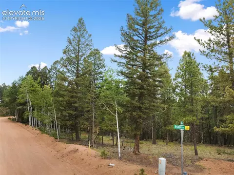 810 Ridge Rd, Divide, CO 80814 photo 4