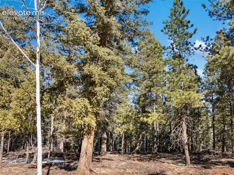 810 Ridge Rd, Divide, CO 80814 photo 16