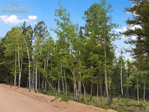 810 Ridge Rd, Divide, CO 80814 photo 10