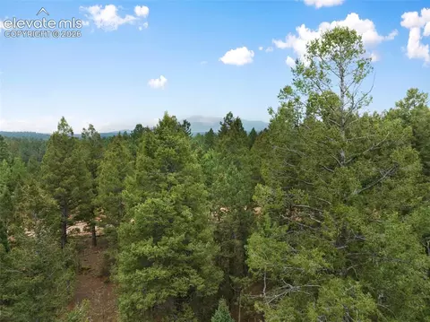 810 Ridge Rd, Divide, CO 80814 photo 32