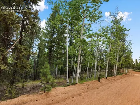 810 Ridge Rd, Divide, CO 80814 photo 8