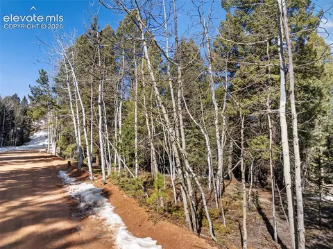 810 Ridge Rd, Divide, CO 80814 photo 13